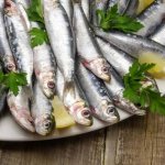 Sardine entier frais